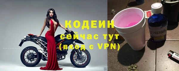 дурь Ельня