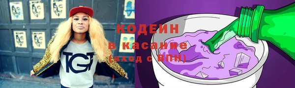 дурь Ельня