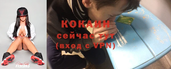 дурь Ельня
