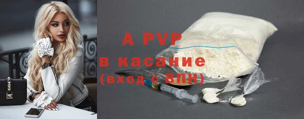 индика Заволжск