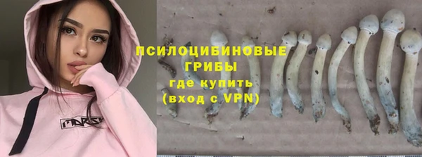 круглые Заводоуковск