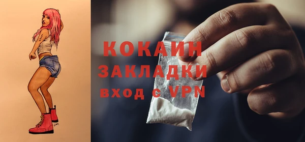 дурь Ельня