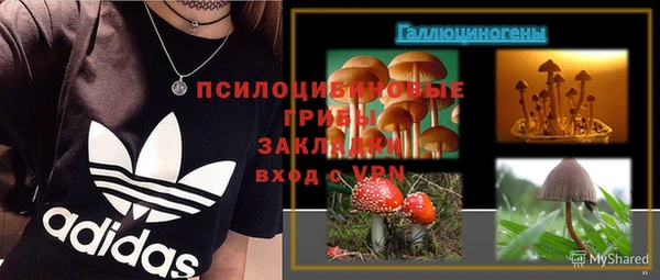 дурь Ельня