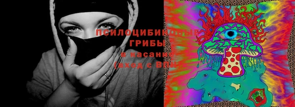 прущая мука Елабуга