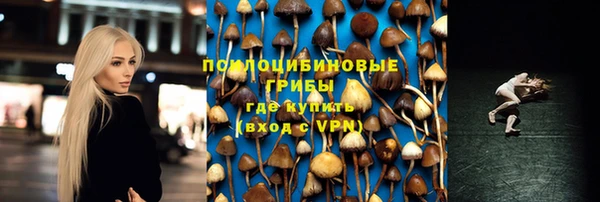 прущая мука Елабуга