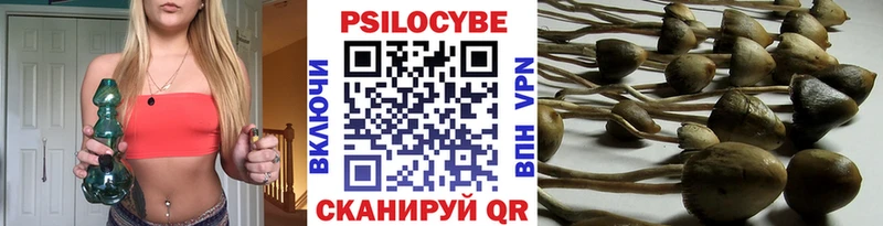 Купить  Новосокольники  Галлюциногенные грибы мухоморы 